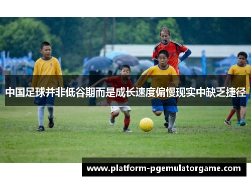 中国足球并非低谷期而是成长速度偏慢现实中缺乏捷径