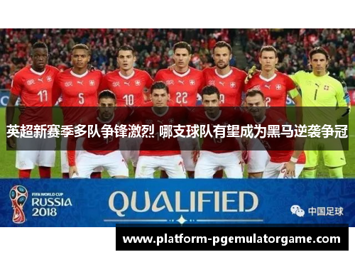 英超新赛季多队争锋激烈 哪支球队有望成为黑马逆袭争冠
