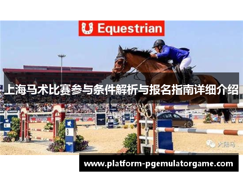 上海马术比赛参与条件解析与报名指南详细介绍