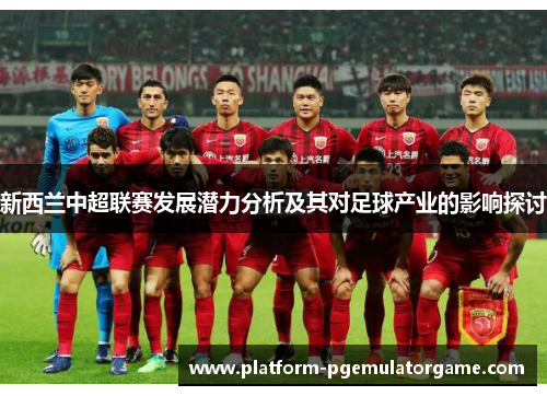 新西兰中超联赛发展潜力分析及其对足球产业的影响探讨