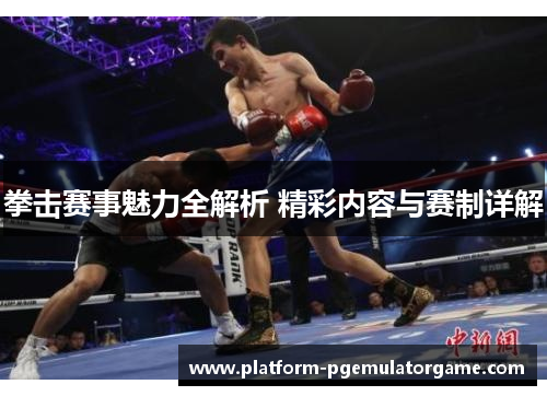 拳击赛事魅力全解析 精彩内容与赛制详解