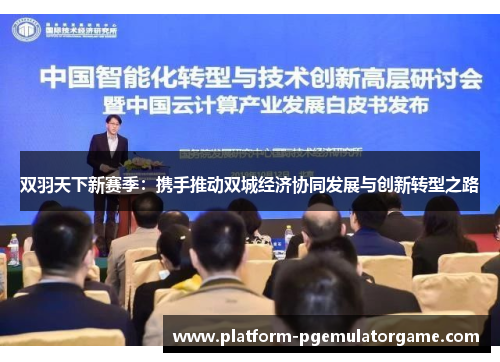 双羽天下新赛季：携手推动双城经济协同发展与创新转型之路