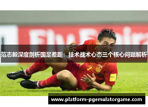 范志毅深度剖析国足差距：技术战术心态三个核心问题解析