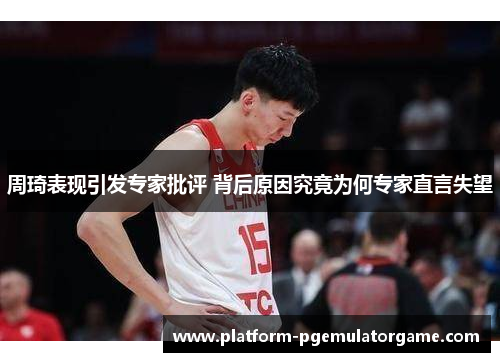 周琦表现引发专家批评 背后原因究竟为何专家直言失望