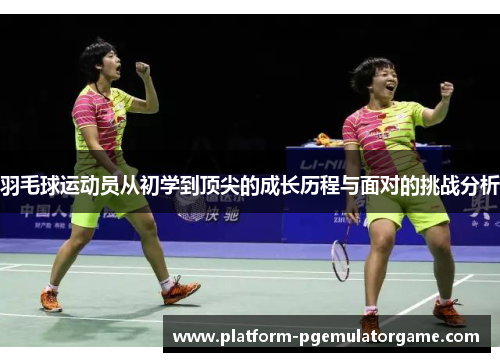 羽毛球运动员从初学到顶尖的成长历程与面对的挑战分析