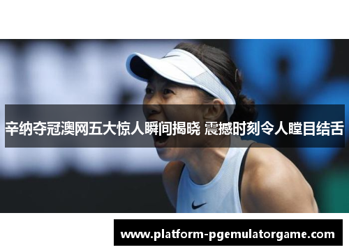 辛纳夺冠澳网五大惊人瞬间揭晓 震撼时刻令人瞠目结舌