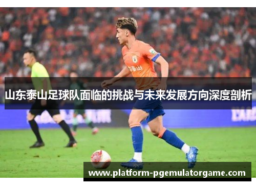 山东泰山足球队面临的挑战与未来发展方向深度剖析
