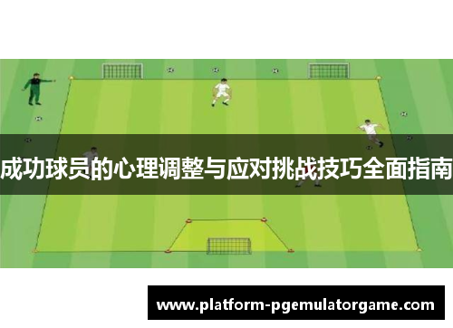成功球员的心理调整与应对挑战技巧全面指南