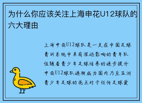 为什么你应该关注上海申花U12球队的六大理由