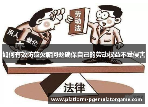 如何有效防范欠薪问题确保自己的劳动权益不受侵害