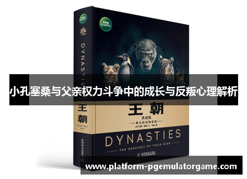 小孔塞桑与父亲权力斗争中的成长与反叛心理解析