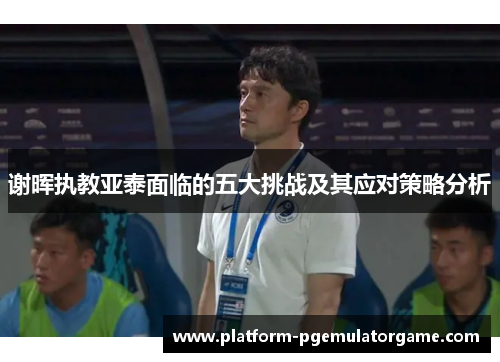 谢晖执教亚泰面临的五大挑战及其应对策略分析