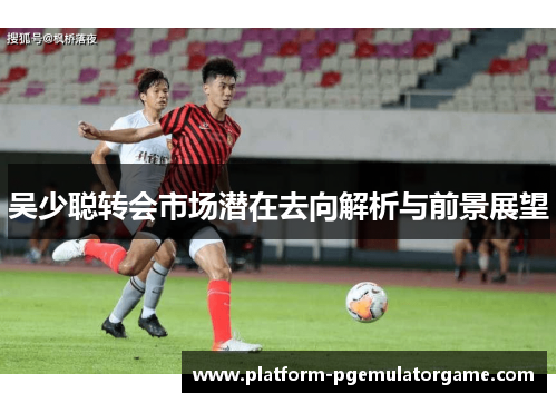 吴少聪转会市场潜在去向解析与前景展望