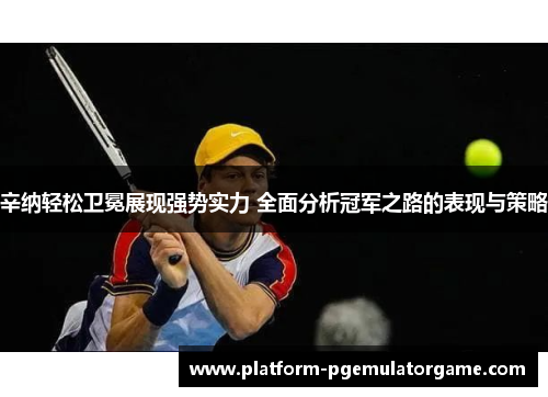 辛纳轻松卫冕展现强势实力 全面分析冠军之路的表现与策略