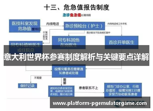 意大利世界杯参赛制度解析与关键要点详解