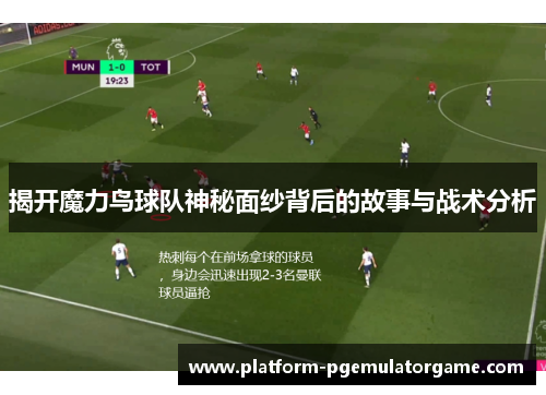 揭开魔力鸟球队神秘面纱背后的故事与战术分析