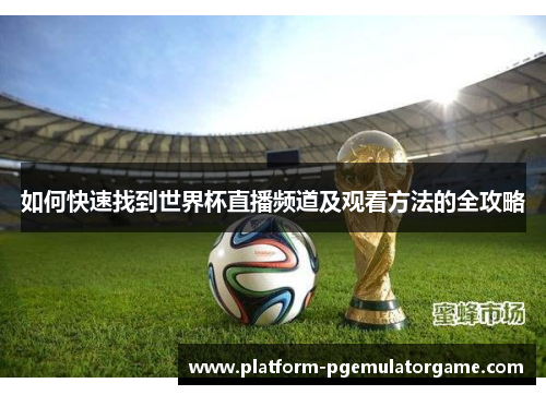 如何快速找到世界杯直播频道及观看方法的全攻略