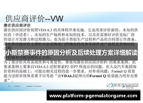 小斯禁赛事件的原因分析及后续处理方案详细解读