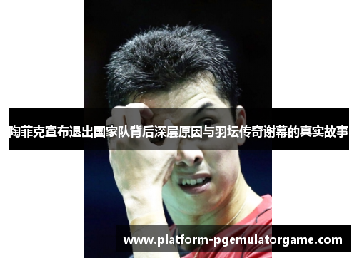 陶菲克宣布退出国家队背后深层原因与羽坛传奇谢幕的真实故事