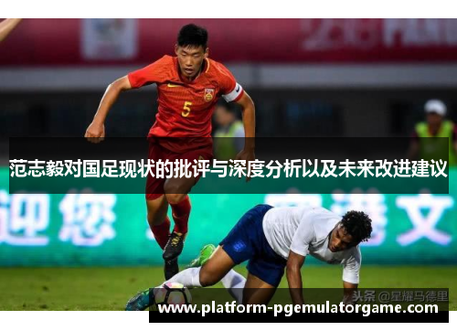 范志毅对国足现状的批评与深度分析以及未来改进建议