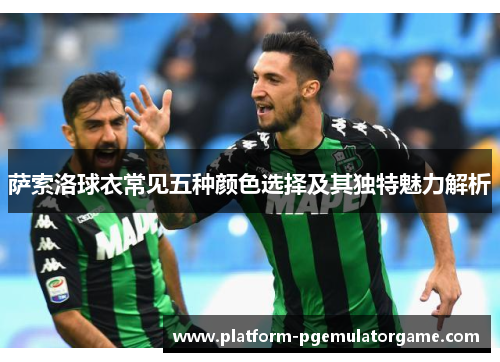 萨索洛球衣常见五种颜色选择及其独特魅力解析