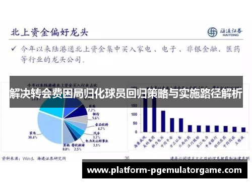 解决转会费困局归化球员回归策略与实施路径解析