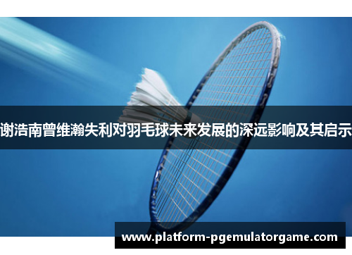 谢浩南曾维瀚失利对羽毛球未来发展的深远影响及其启示