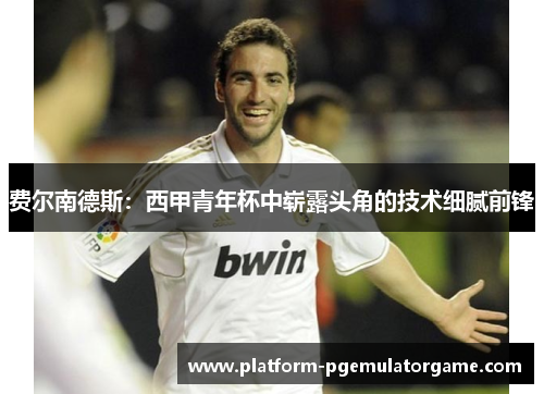 费尔南德斯：西甲青年杯中崭露头角的技术细腻前锋