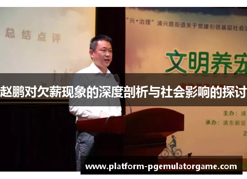 赵鹏对欠薪现象的深度剖析与社会影响的探讨