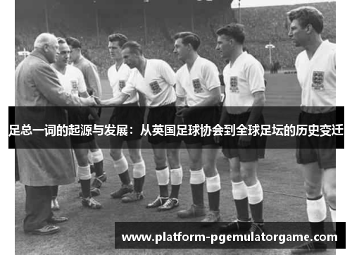 足总一词的起源与发展：从英国足球协会到全球足坛的历史变迁