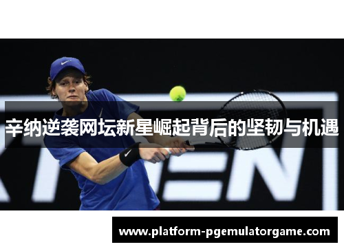 辛纳逆袭网坛新星崛起背后的坚韧与机遇