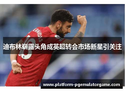 迪布林崭露头角成英超转会市场新星引关注