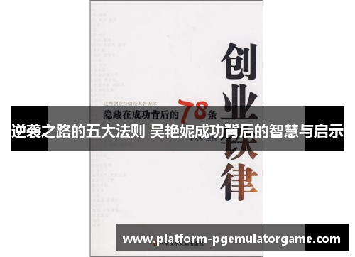 逆袭之路的五大法则 吴艳妮成功背后的智慧与启示