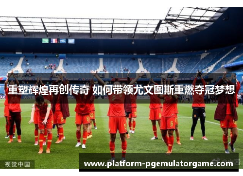 重塑辉煌再创传奇 如何带领尤文图斯重燃夺冠梦想