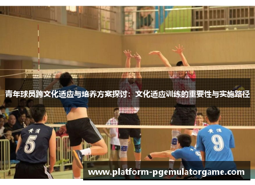 青年球员跨文化适应与培养方案探讨：文化适应训练的重要性与实施路径