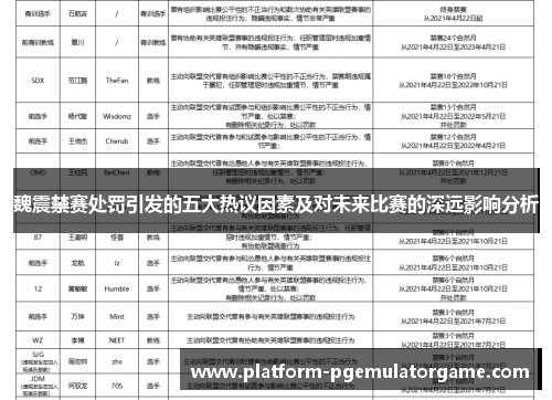 魏震禁赛处罚引发的五大热议因素及对未来比赛的深远影响分析