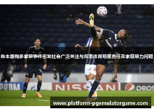 鲁本塞梅多家暴事件引发社会广泛关注与反思体育明星责任及家庭暴力问题