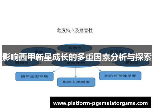 影响西甲新星成长的多重因素分析与探索
