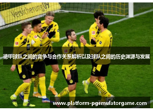 德甲球队之间的竞争与合作关系解析以及球队之间的历史渊源与发展