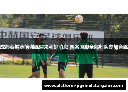 成都蓉城赛前训练迎来利好消息 四名国脚全部归队参加合练