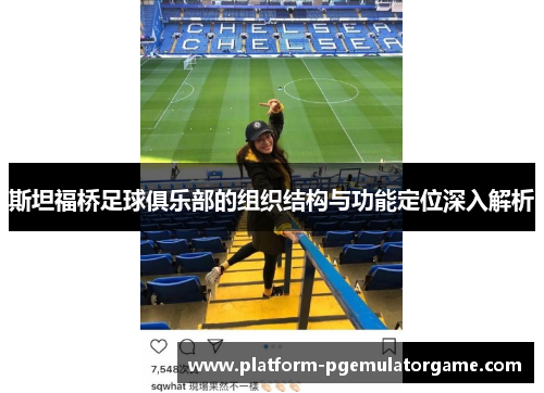 斯坦福桥足球俱乐部的组织结构与功能定位深入解析