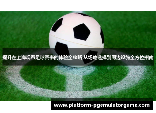 提升在上海观看足球赛事的体验全攻略 从场地选择到周边设施全方位指南