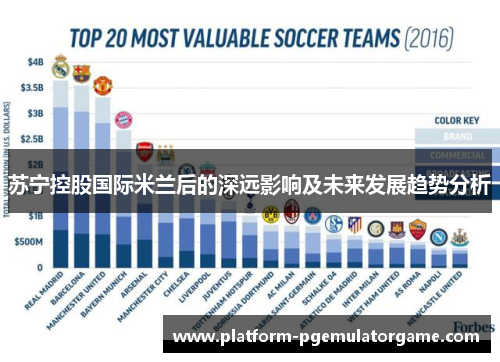苏宁控股国际米兰后的深远影响及未来发展趋势分析